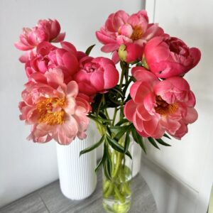 Bouquet "10 Coral Peonies"