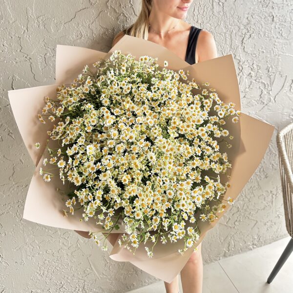 Bouquet "Never too much Chamomiles"