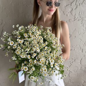 Bouquet "Chamomiles"