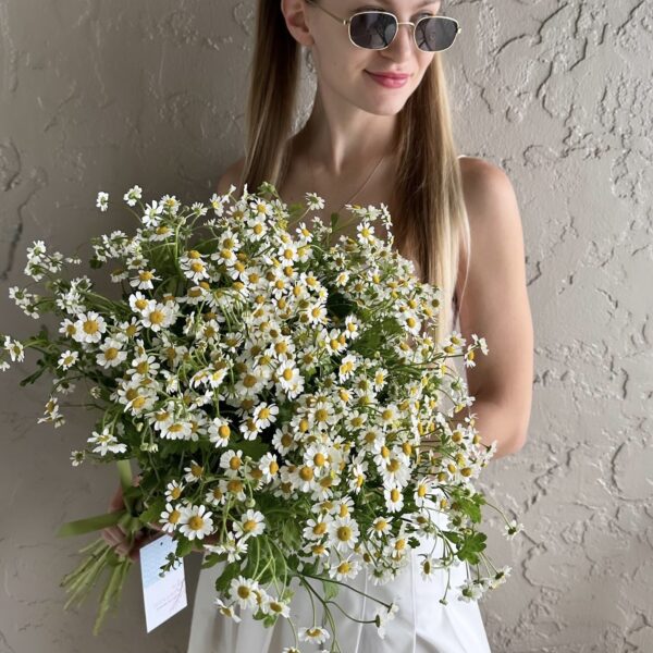 Bouquet "Chamomiles"