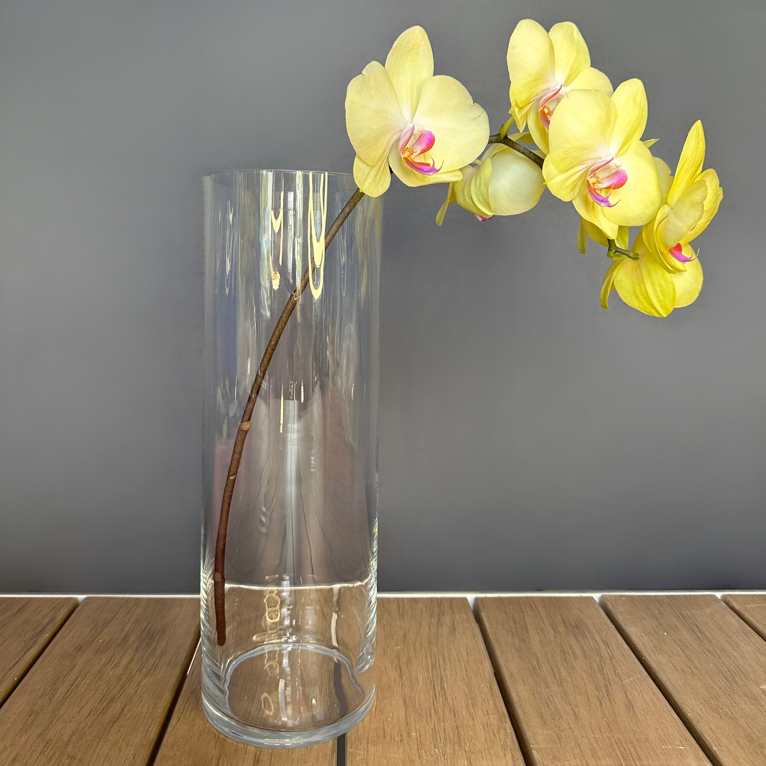 Vase Cylinder